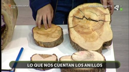 Lecciones de Dendrocronología