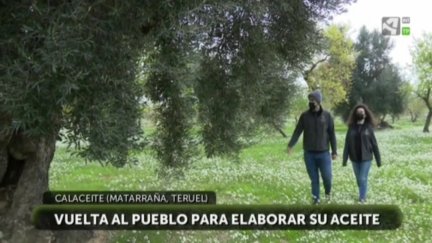 Viejos olivos, nuevos pobladores