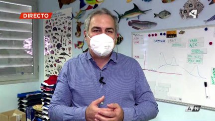 El epidemiólogo Nacho de Blas en una entrevista en el programa Buenos Días (Aragón TV)