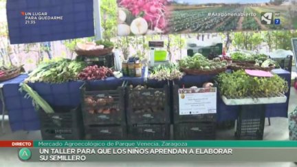 Educación agroecológica