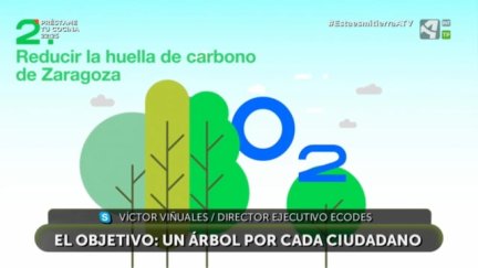 Un bosque en Zaragoza