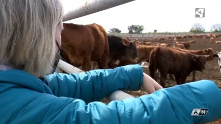 Una mujer en el medio rural