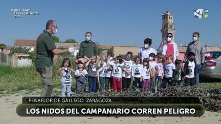 Las cigüeñas de Peñaflor se mudan