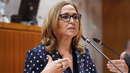 Consejera de Presidencia, Mayte Pérez.