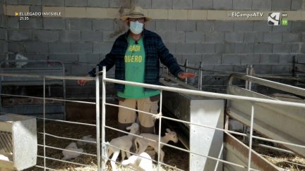El Campo es... vida (VIII)