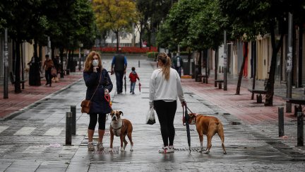 Dos mujeres pasean a su mascota
