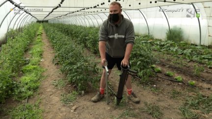 El Campo es... sembrar o plantar, que no son lo mismo