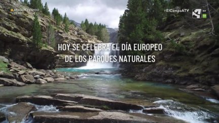 Día Europeo de los Parques en El Campo el nuestro