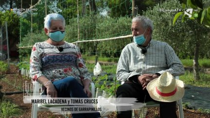 El Campo es... experiencia (IX)