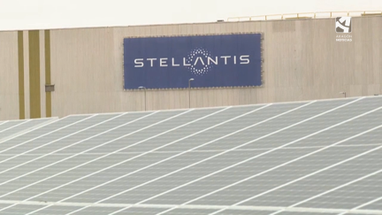Planta fotovoltaica propia de Stellantis/Opel en Figueruelas.