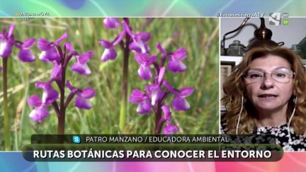 Paseos entre orquídeas