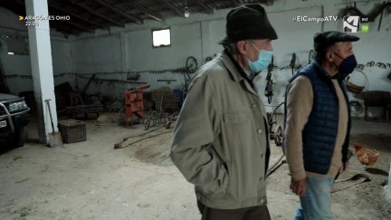 El Campo es... experiencia (XIV) - Cooperativas