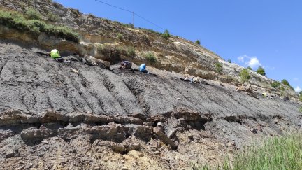 Investigadores trabajando en el yacimiento de San Just. (Foto: DGA)