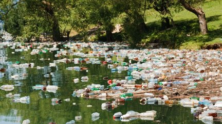 Botellas de plástico flotando en un río.