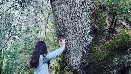 Mujer en contacto con un árbol en una sesión de baños de bosque (Yolanda Fernández).