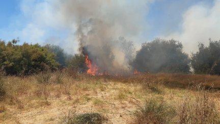 Fotografía de un incendio forestal.