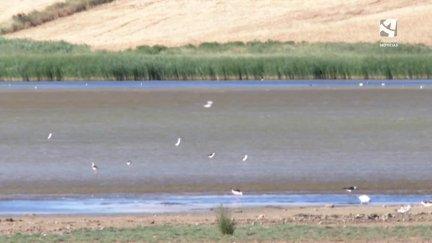 Laguna de Gallocanta.