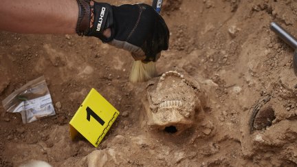 Trabajos de búsqueda y exhumación en una fosa (EP).