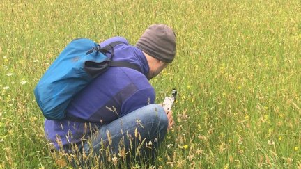 Una persona realiza fotografías a las plantas con su teléfono móvil (EP).
