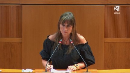 La consejera de Sanidad, Sira Repollés, este lunes en las Cortes.