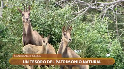 Canfranc, tesoro natural