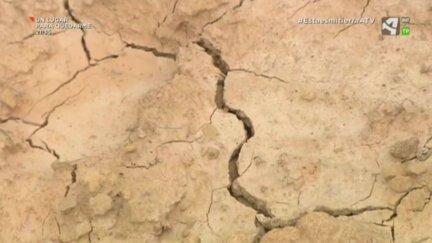 En la región Mediterránea, ya se ha superado el +1,5 ºC que fijó París como objetivo para el conjunto del planeta.