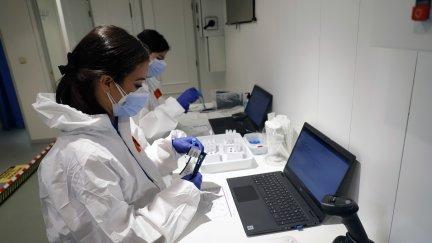 Dos personas analizando pruebas PCR de la COVID-19 (EP).