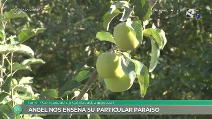Permacultura