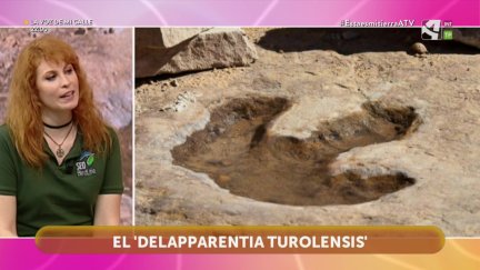 Delapparentia Turolensis