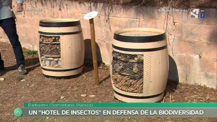 Hotel de insectos