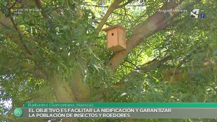 Cajas nido
