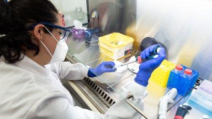 Análisis de muestras en un laboratorio (EP).