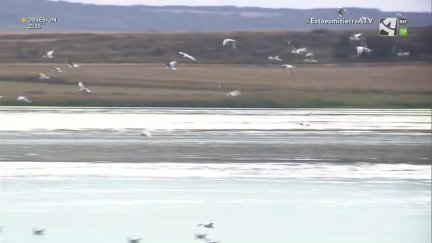 Laguna de Gallocanta