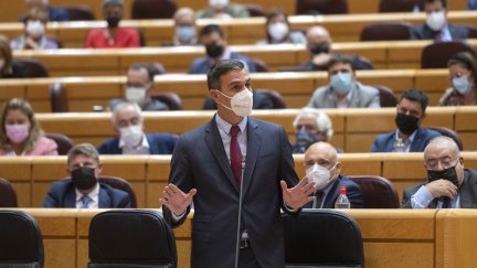 Pedro Sánchez, durante la sesión de control en el Senado.