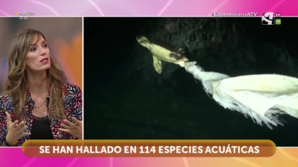 Microplásticos, contaminación de ida y vuelta
