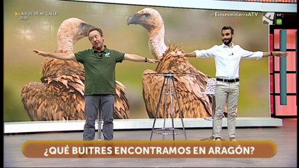 Buitres
