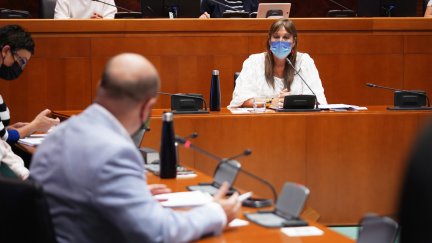 La consejera de Sanidad, Sira Repollés, contesta al diputado de Vox, Santiago Morón, durante la comparecencia en la Comisión del ramo. (CORTES DE ARAGÓN)