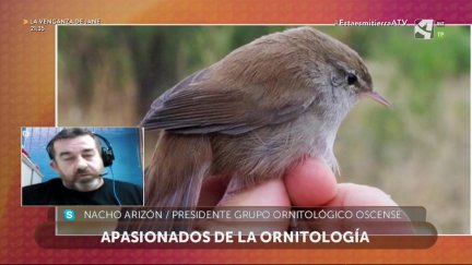 Anillamiento de aves migratorias