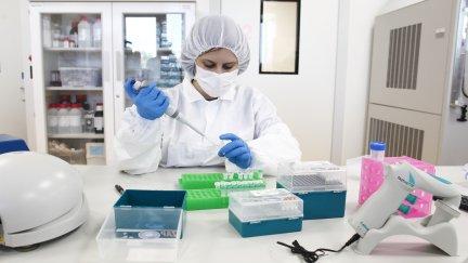 Laboratorio de la empresa Certest Biotec.
