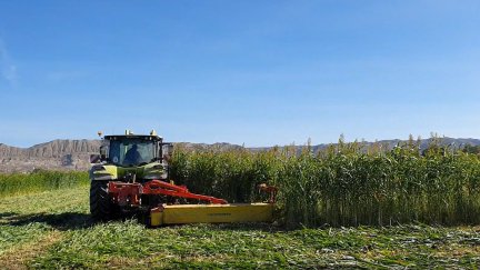 Luis González trabaja con su tractor en Villafranca de Ebro.