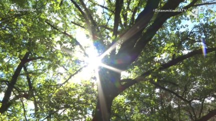 Entre bosques milenarios hasta llegar a Susín