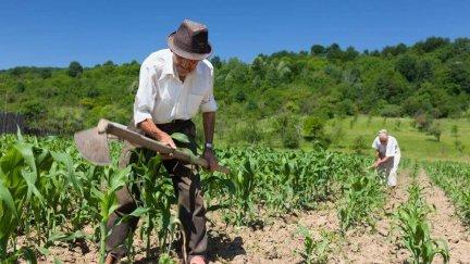 Dos agricultores trabajando en el campo.