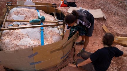 El gran nido de huevos de dinosaurio se encontraba incrustado en un bloque de piedra de dos toneladas de peso (EFE / Universidad de Zaragoza / Carmen Nuñez Lahuerta).