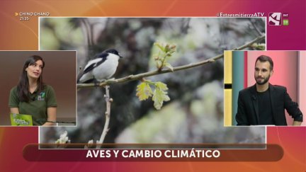 Aves y cambio climático