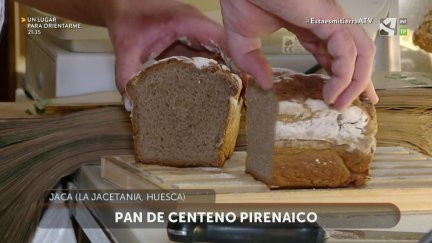Centeno pirenaico recuperado (y II)