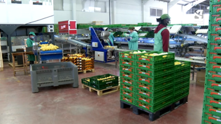 Empresa agroalimentaria.