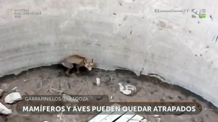 Los rescatadores: Censo de puntos de agua