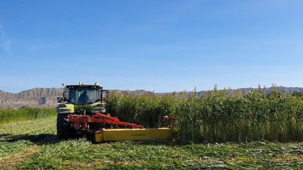 Tractor en Villafranca de Ebro.