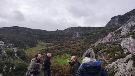 Los quebrantahuesos han sido liberados en los Picos de Europa.
