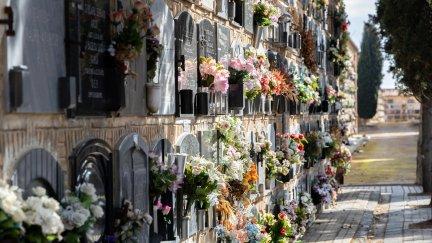 Imagen de varios nichos del cementerio de Torrero. (Foto: Ayuntamiento de Zaragoza)